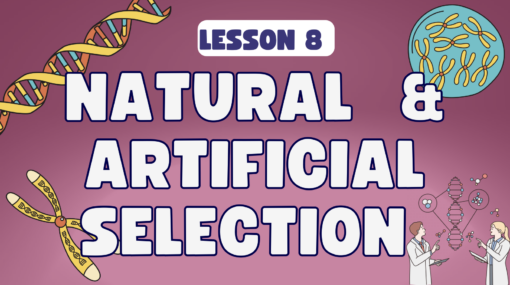 Natural and Artificial Selection - Genetics Focus